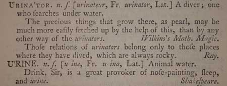 urinator, 