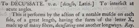 decussate decussate,
