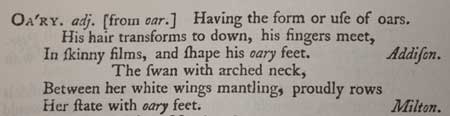 oary -- having the form or use of oars